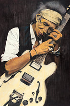 Load image into Gallery viewer, Steel Guitar Engagement